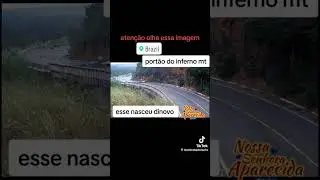 Sono e trânsito não combinam