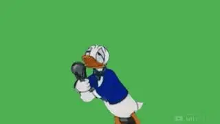 Green screen free duck(donal bebek)
