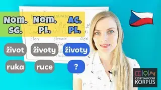 Common Czech Nouns & Their Plurals 📚
