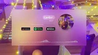 Cartier - N4VV [Official 2024 Punjabi Hip Hop Visualizer]