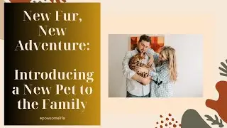 New Fur, New Adventure: Introducing a New Pet to the Family! 🐾✨ | Tips for Harmony and Bonding