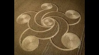 'S' for 'Sudarshan' - Latest Crop Circle Response in August !!! - 8th August 2022