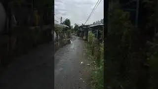 IMG 7152