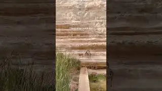 Don't miss the wonders of the Negev Desert!
