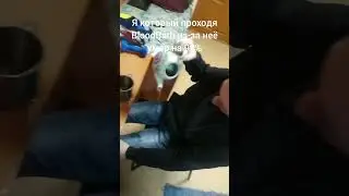 #мем