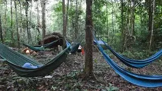Amazon Jungle Camping Adventure on the Urubu River