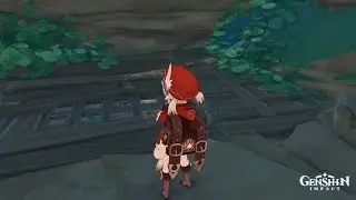 Genshin Impact 2.0: Getting In Secret Grate-covered Room Under Grand Narukami Shrine! (read desc.)