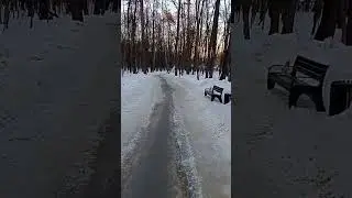 парк фили