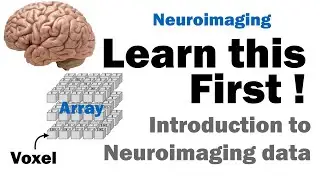 Learn this first for neuroimaging: Introduction to MRI neuroimaging data for Neuroscience | part 1