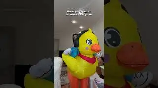 🦆