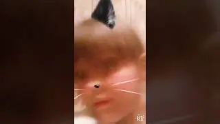 Я котенок