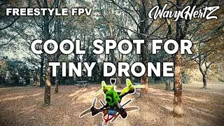 Nouveau spot pour toothpick freestyle - DVR 60fps