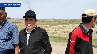 Көкдала ауылында 500 түп ағаш егілді. Ауылға кіреберістен арка орнатылды.