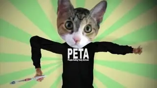 Why I Hate PETA