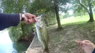 Fishing Cypress Texas
