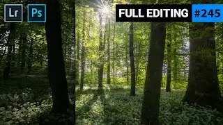 Dreamy Forest HDR with Adobe Lightroom and Photoshop | QE 
