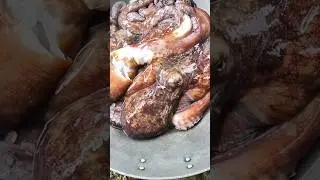 Are you eating octopus? #seafood #seaanimals #seacreatures #octopus #freshoctopus #liveoctopus