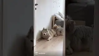 любовь не по-размеру