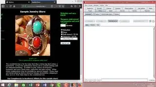 Intercepting and Changing Prices on eCommerce Site using Burp Suite