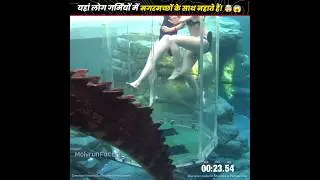 यहां लोग गर्मियों में मगरमच्छों के साथ नहाते हैं! 🤯😱