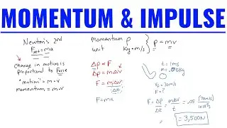 Momentum and Impulse With Examples (High School & AP Physics 1)