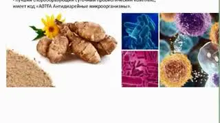 АНДРЕЕВА НАДЕЖДА О НОВОМ ПРОДУКТЕ ACCELER8