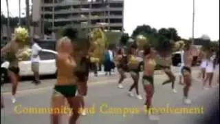 2012 USF Sundolls (Season Retrospective)