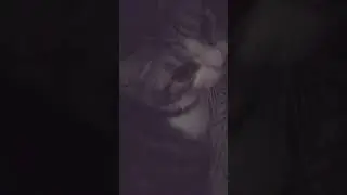 When home it's too cold for cat