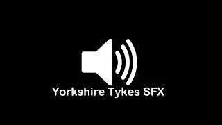 Yorkshire Tykes 2
