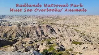 Badlands National Park/ Overlooks and Animals Vlog