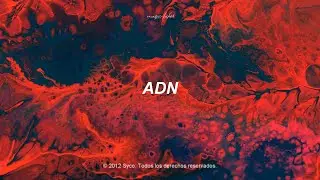 Little Mix - DNA (Unplugged) [Traducida al Español]