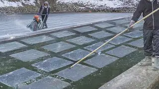 Japan’s Cheapest Solution to Produce Tons of Industrial Ice