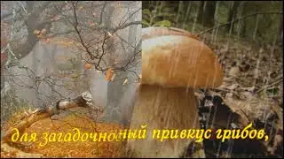 Осенний кофе для тебя !