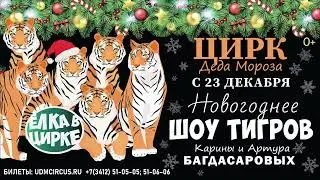 Ёлка в цирке.