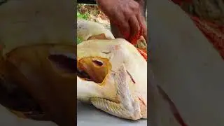 Mud Turkey Recipe = full video watcing WORLD MAN COOKING Channel