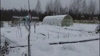 Уберегаем саженцы от мышей, зайцев и обламывания. Ноябрь2019г Кострома