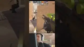 twitch.tv/beemple