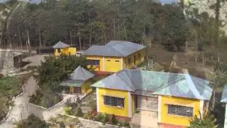 Safari towards Gorumara forest - beautiful moments.