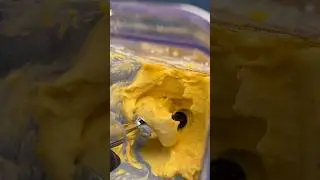 5-Ingredient 🥭 Mango 🍨 Ice Cream and here’s how to do it❗️✅🚀 #icecream