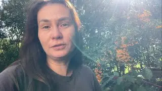 Дітям весело, а мені не дуже. Vlog 410