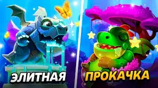 9000 КУБКОВ, 14 УРОВЕНЬ И ЭЛИТНАЯ ПРОКАЧКА!😱 ПУТЬ ДРАКОНЧИКА