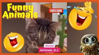 Best Funny & Cute Animals Videos #channelanimals2LL - Animals laughing loving ❤️😍🐶🐱🐯🦉🦤🐓🦆🦦🐇🐀🐐🐅🐎😃😍😹😄