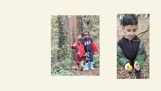 Forest School 2024