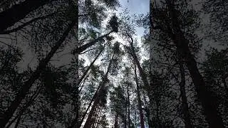 Когда смотришь не туда.