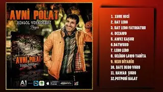 Avni Polat - Bingöl Türküleri (Zazaca) - Heni Biyarin