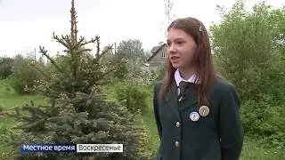 Лес: бабаевский леспромхоз