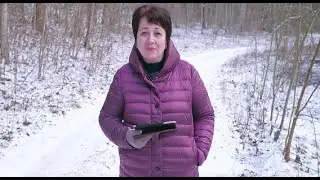 1605. Хлеб на каждый день. Это не скрылось бы от царя.