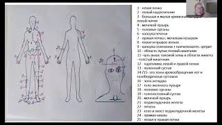 Активатор клеток. Работа по триггерным точкам.