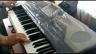 ECO USB KORG PA3/PA2/PA800 İLAHİ SEMAH 2&4