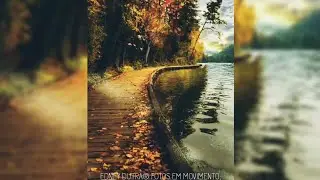 Wanderer/Anna B May - Paisagem/Tema